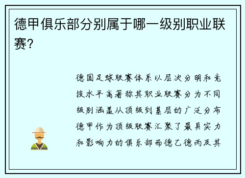 德甲俱乐部分别属于哪一级别职业联赛？